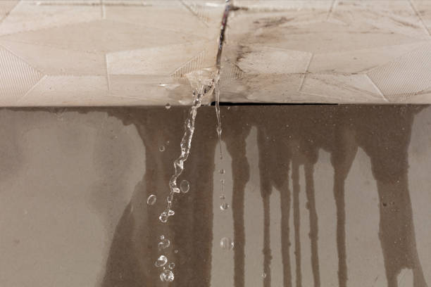 Professional Water Damage Repair technician working in Bay City, WI
